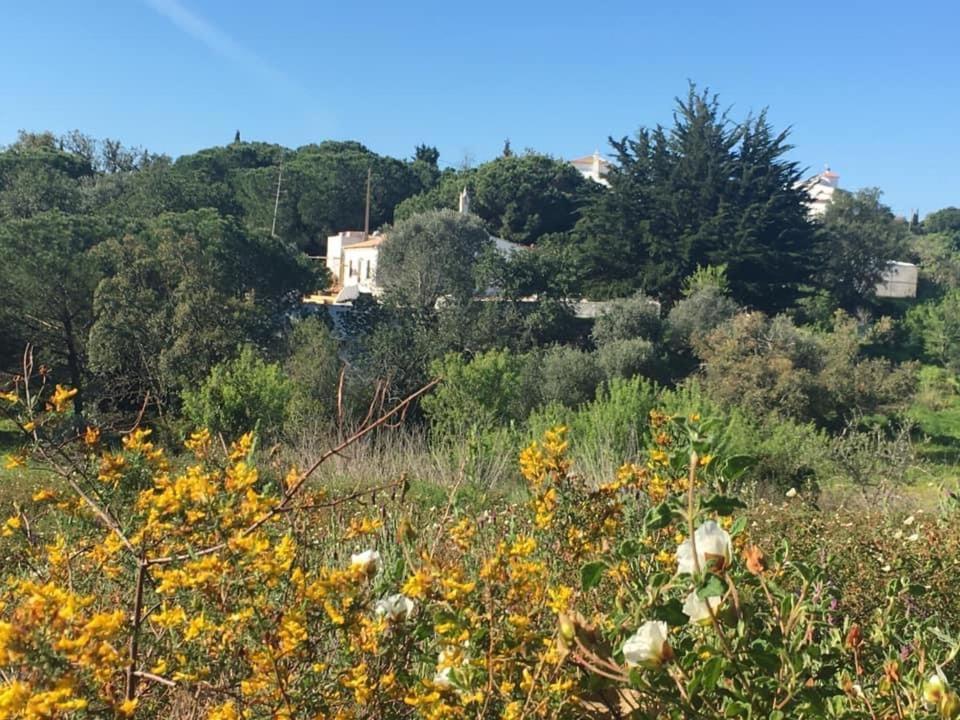 Casa Da Ti Carolina Villa Carvoeiro  Eksteriør bilde